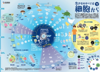 細胞.jpg